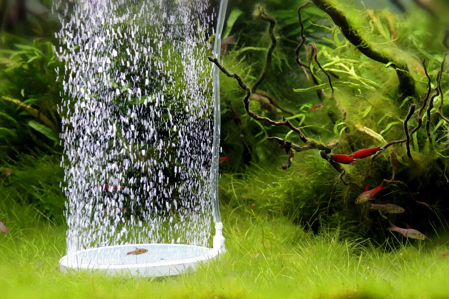 NatureHolic Bubble Disc Ausströmerstein Sauerstoff Teller