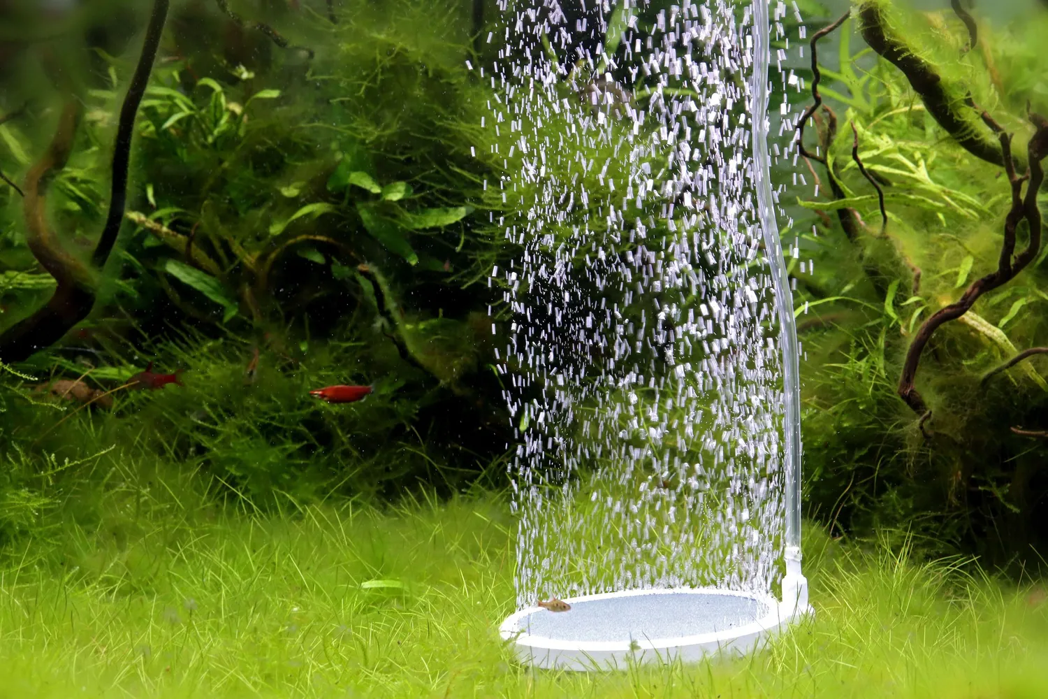NatureHolic Bubble Disc Ausströmerstein Sauerstoff Teller