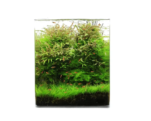 NatureHolic Crystal Clear Cube Weißglas Aquarium 12 L mit Abdeckung