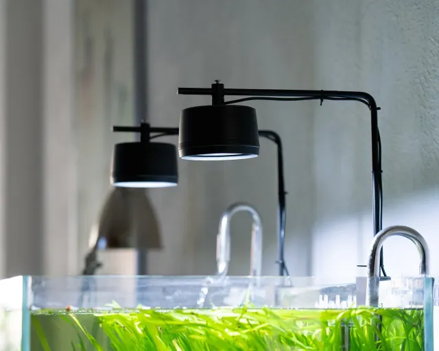 NatureHolic Garden Lantern Spotlight Beleuchtung schwarz