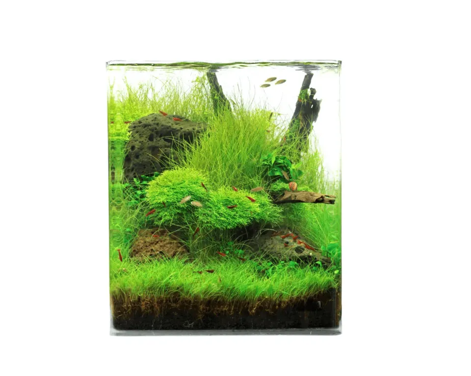 NatureHolic Crystal Clear Cube Aquarium 20L Weißglas