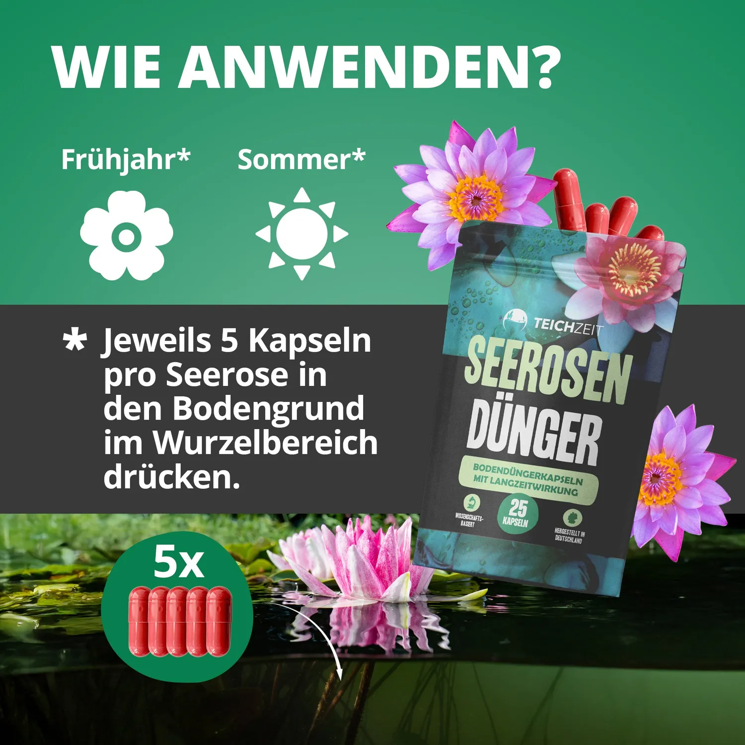 Teichzeit Seerosen Dünger Langzeitdünger 25 Stück Kapseln