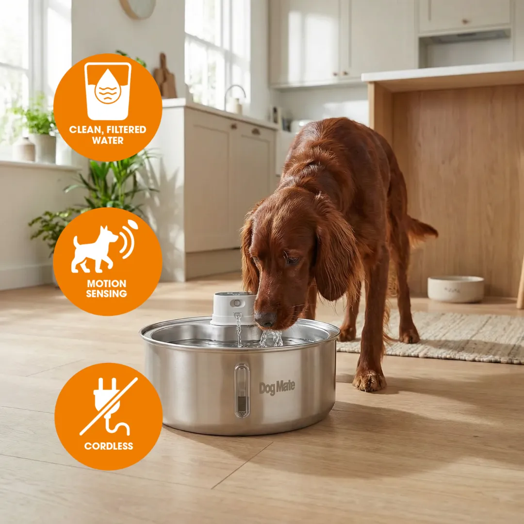 Dog Mate Trinkbrunnen Edelstahl 8 Liter kabellos