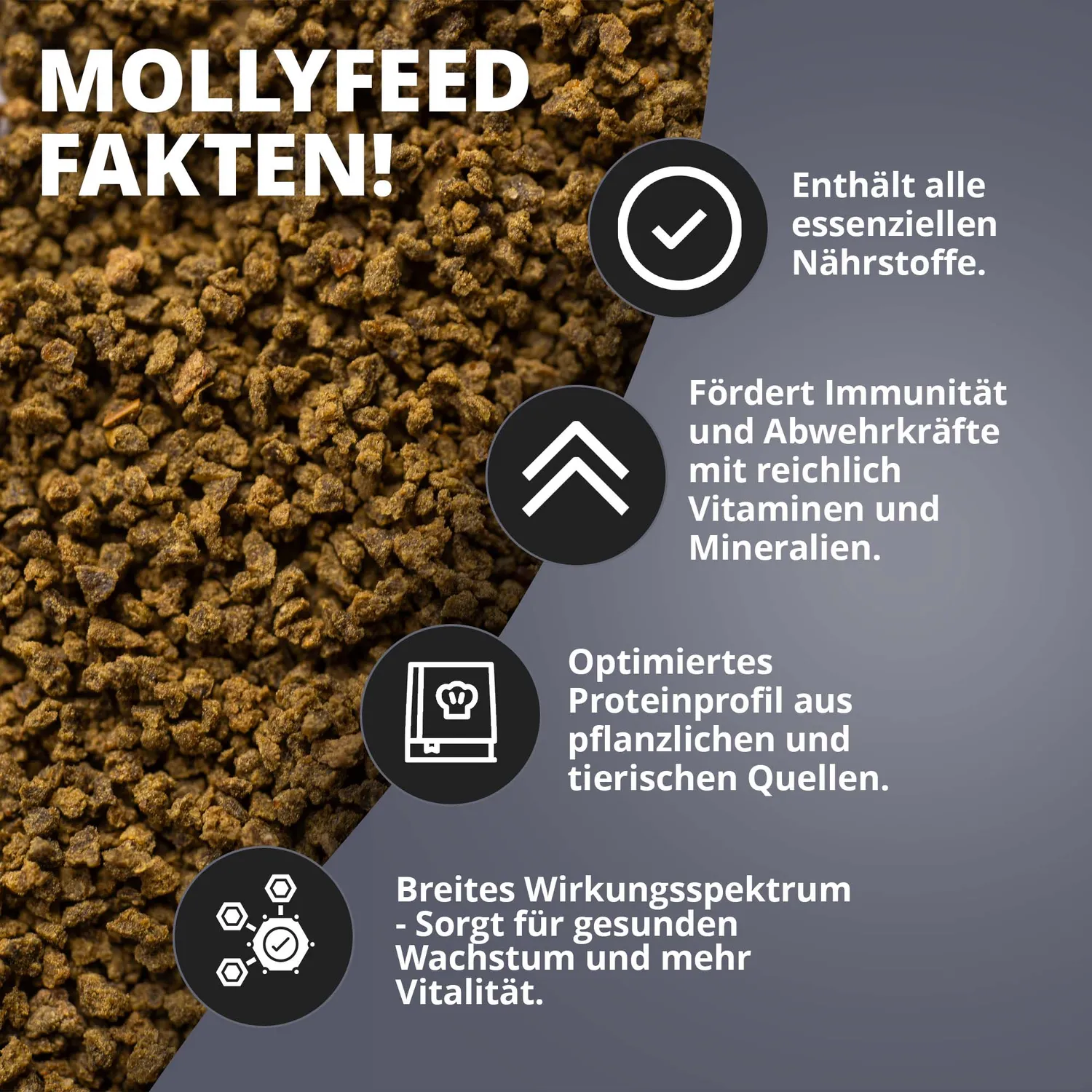 NatureHolic MollyFeed Molly Fischfutter 30g pflanzlich