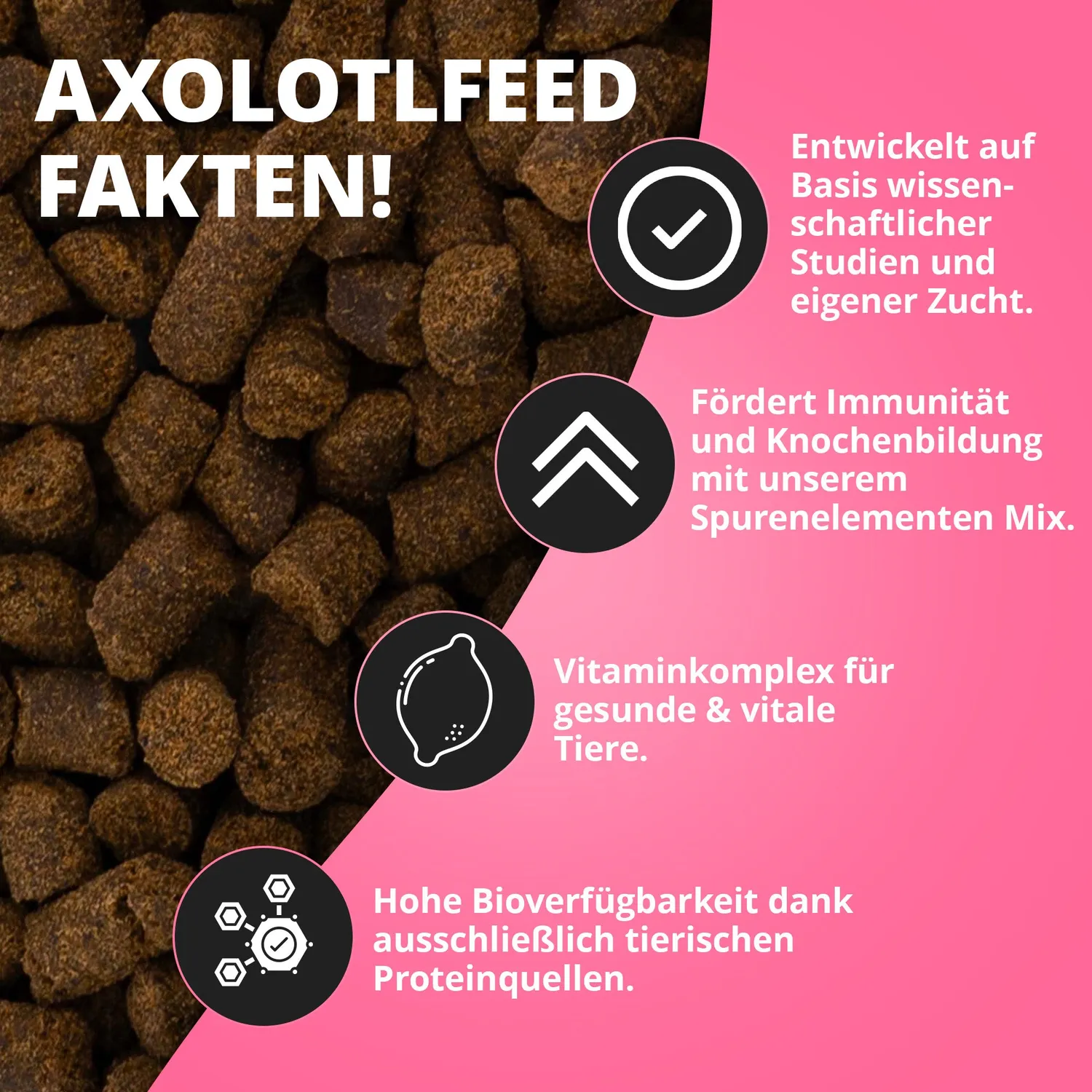 NatureHolic AxolotlFeed Spezialfutter 50g soft
