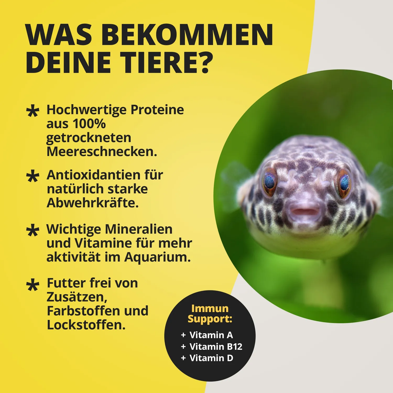 NatureHolic Pufferfeed Kugelfischfutter 30g Schnecken