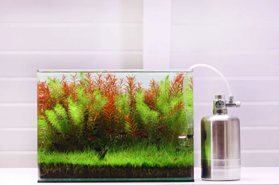 NatureHolic CO2 Generator Starter Set 1 Liter Nadelventil