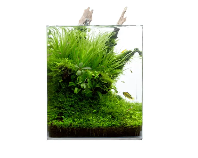 NatureHolic Classic Cube 60L Aquarium mit Abdeckscheibe Floatglas