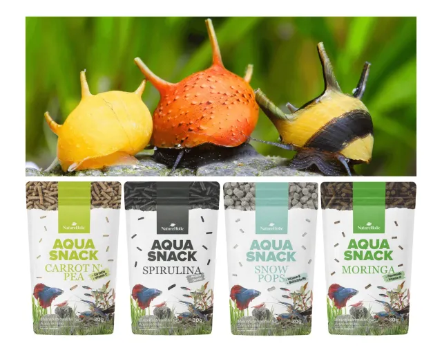 NatureHolic Snackbundle Schnecken 4er Sticks-Mix