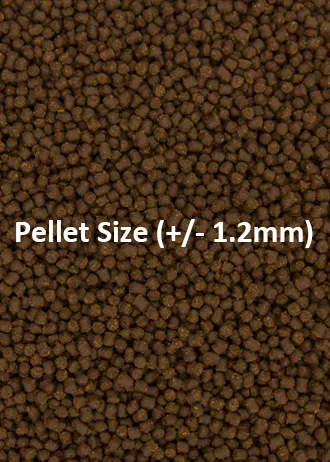 Ocean Nutrition Cichlid Omni Pellets Buntbarschfutter