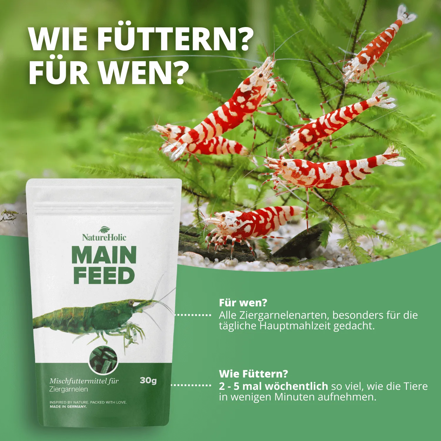 NatureHolic Mainfeed Garnelenfutter 30g Softpads Insektenprotein