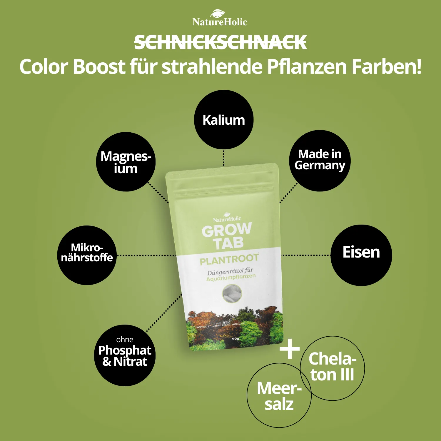 NatureHolic Grow Tab Plantroot Bodentabletten Wurzel Dünger