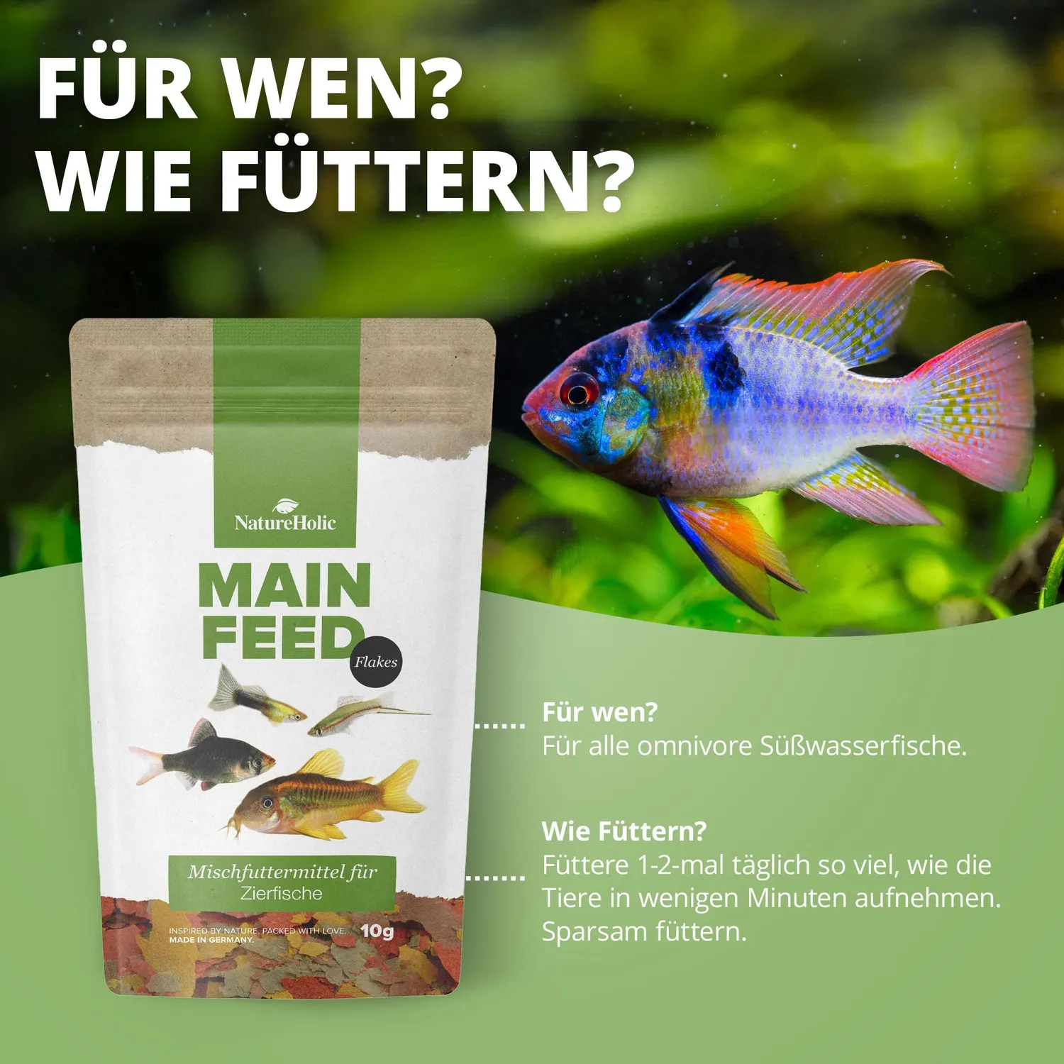 NatureHolic Hauptfeed Flocke Flockenfutter 10g für Allesfresser