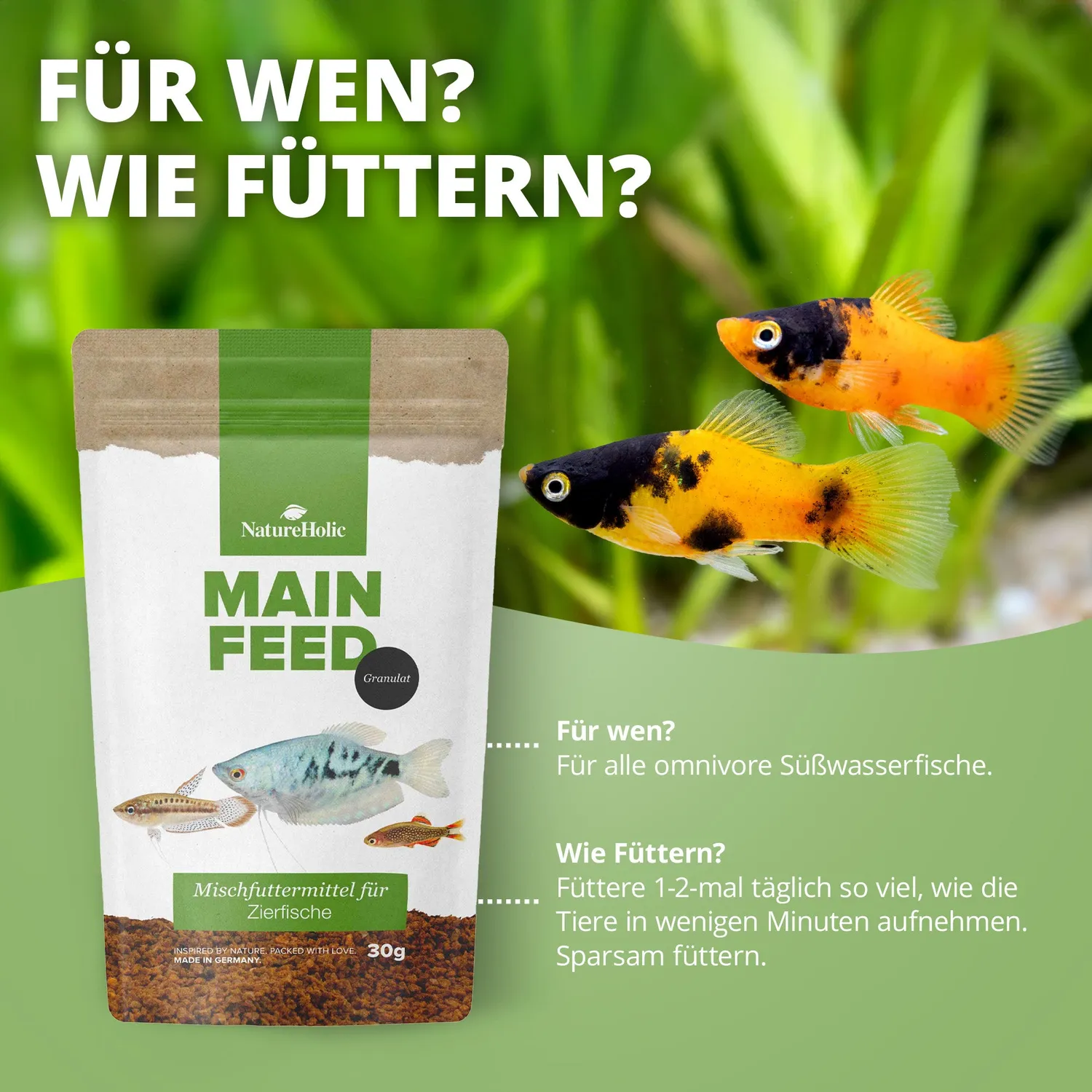 NatureHolic Hauptfeed Granulat Zierfischfutter 30 g Lachsöl