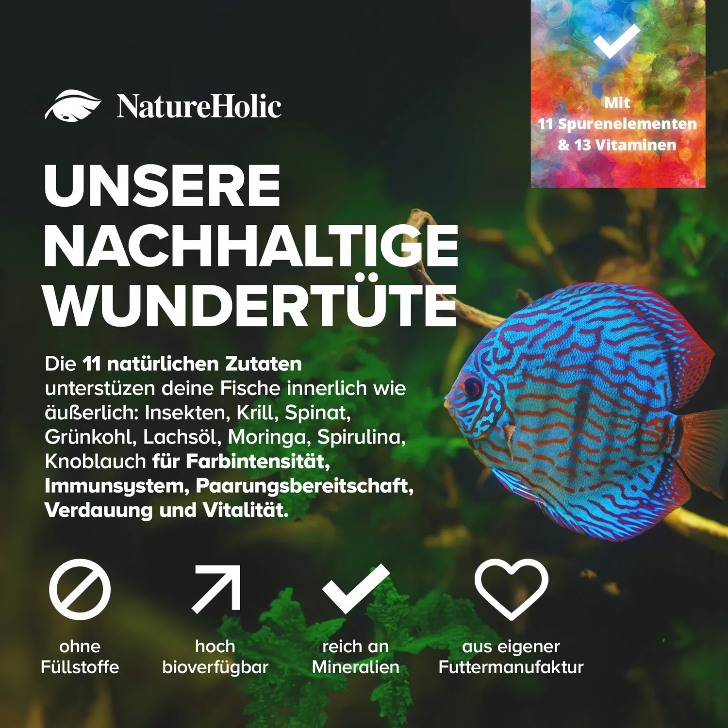 NatureHolic Color Feed Zierfischfutter Granulat 30g Farb-Booster