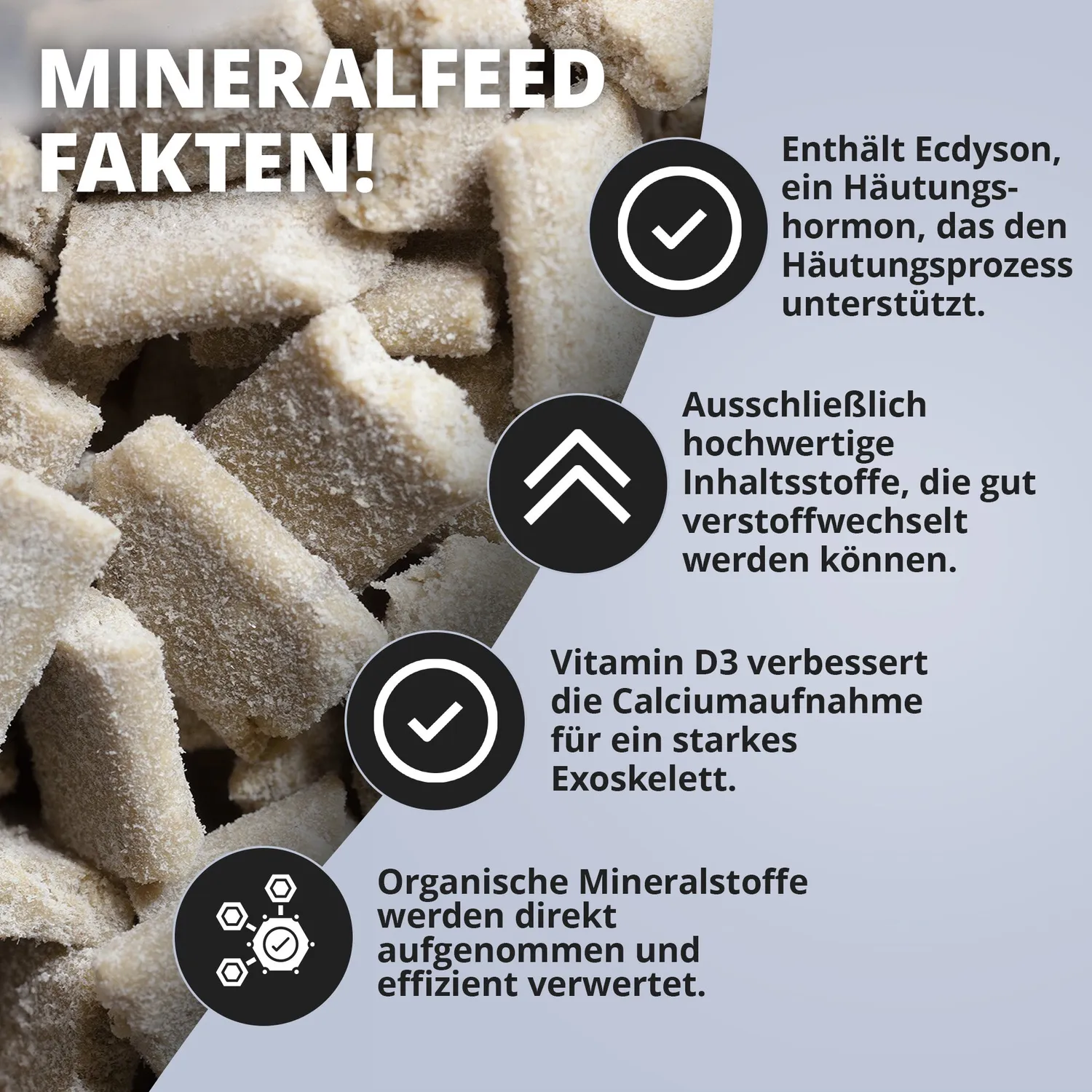 NatureHolic Mineralfeed Garnelenfutter 30 g Mineralien calciumreich