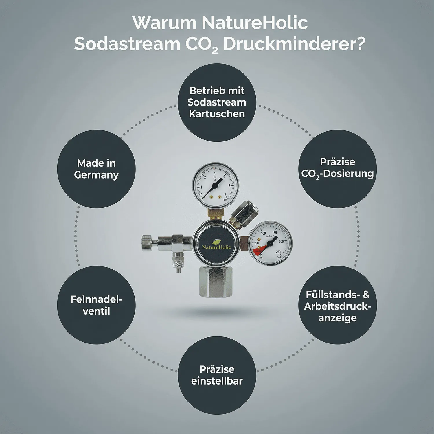 NatureHolic Sodastream CO2 Druckminderer Aquarien Düngung