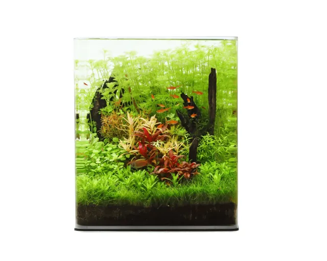 NatureHolic Classic Cube 30L Aquarium Abdeckscheibe