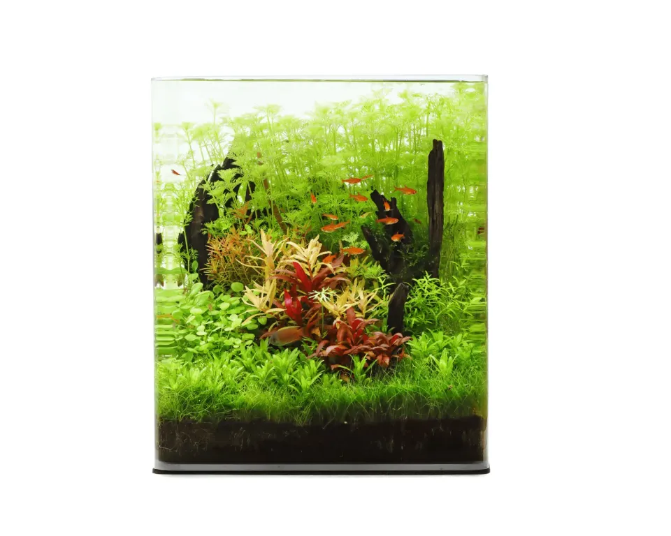 NatureHolic Classic Cube 30L Aquarium Abdeckscheibe