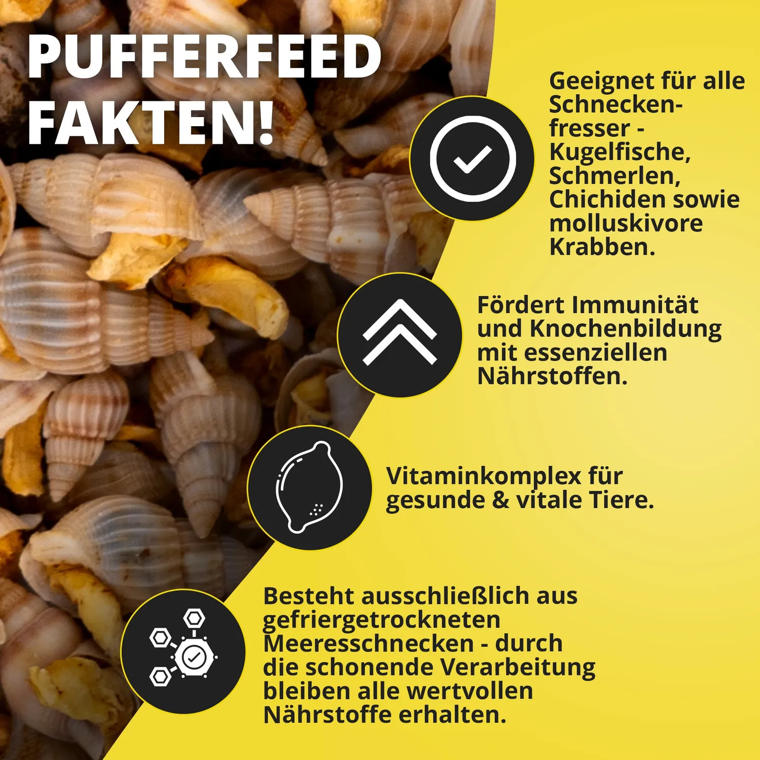 NatureHolic Pufferfeed Kugelfischfutter 30g Schnecken