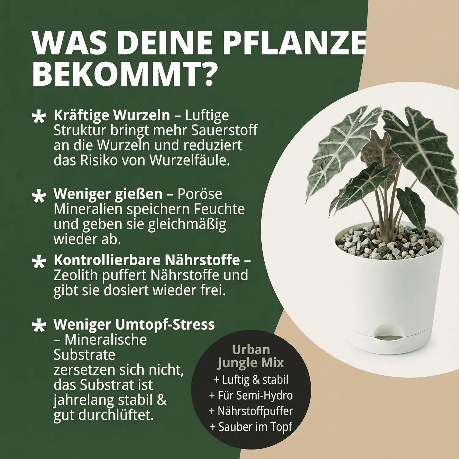 NatureHolic Jungle Mix Pflanzsubstrat mineralisch 5 Liter