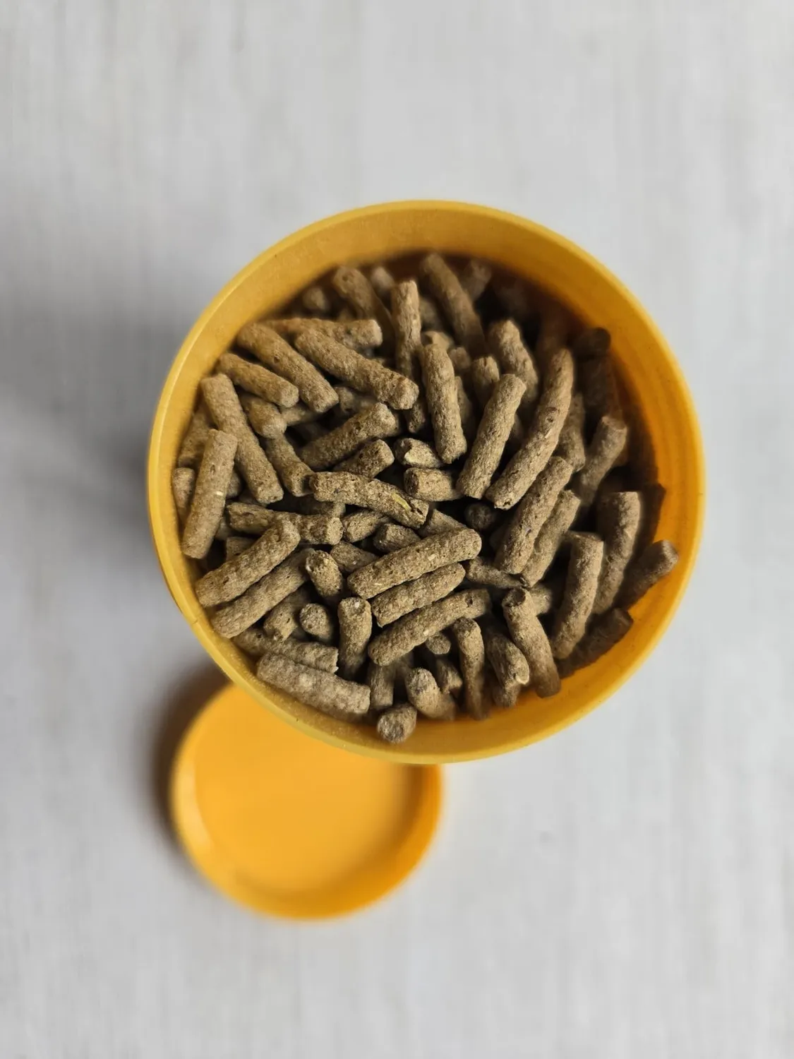 AQUARIS Repti Sticks Carni Schildkrötenfutter 320 g proteinreich