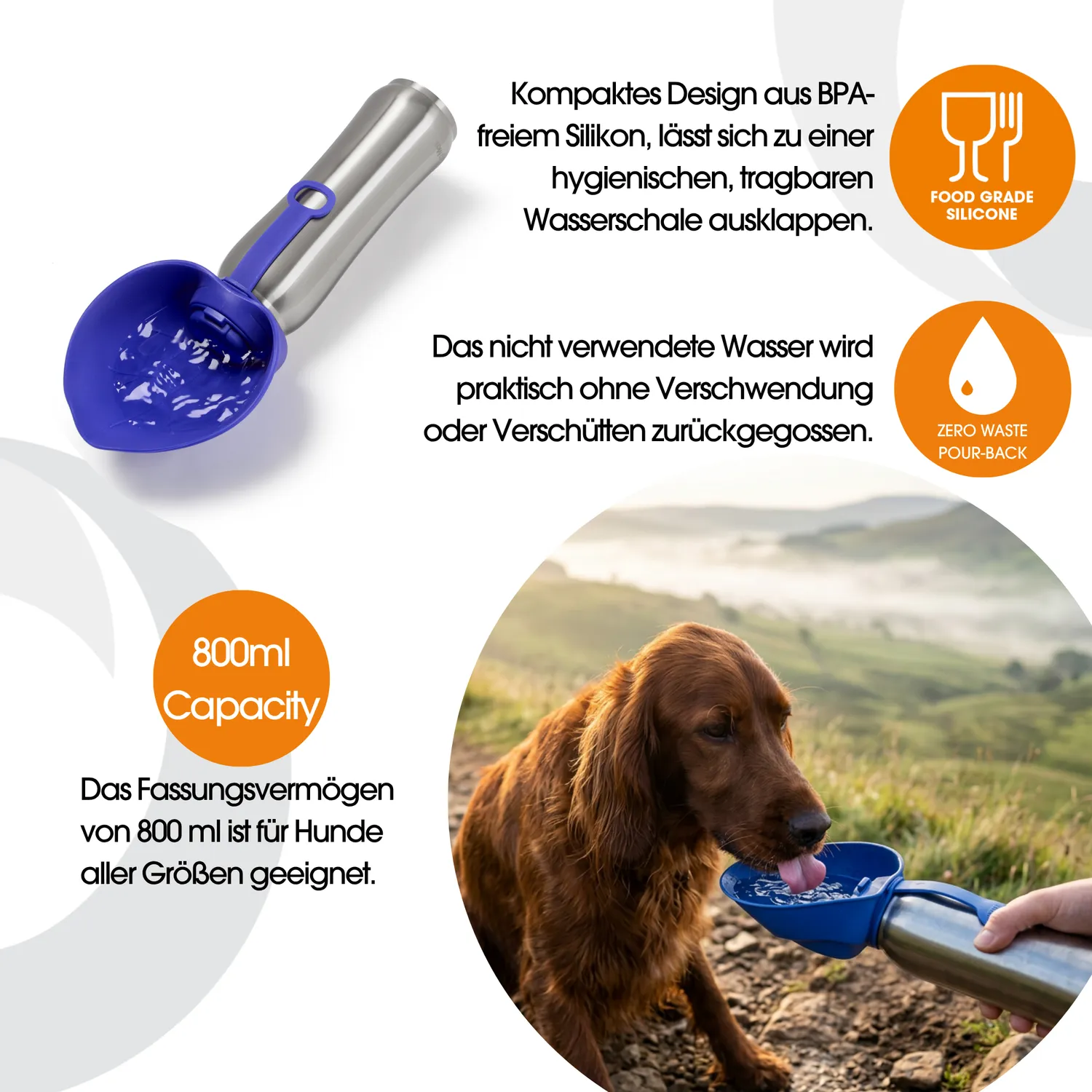 Closer Pets Dog Mate Wasserflasche Edelstahl 800 ml isoliert