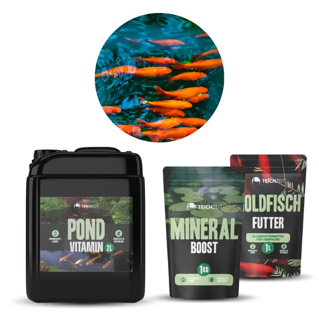 Teichzeit Goldfisch Sorglospaket Futter Vitamin Mineral