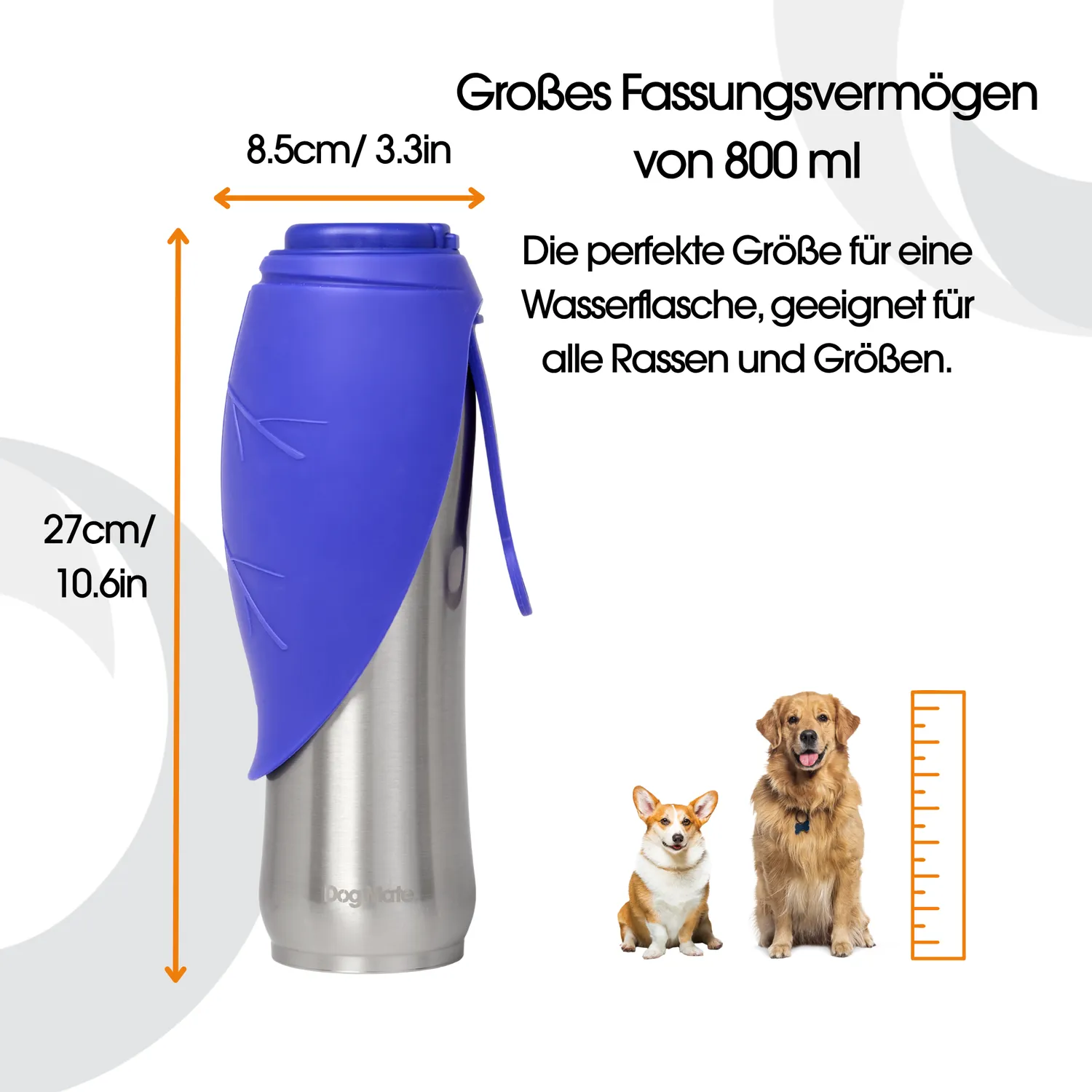 Closer Pets Dog Mate Wasserflasche Edelstahl 800 ml isoliert