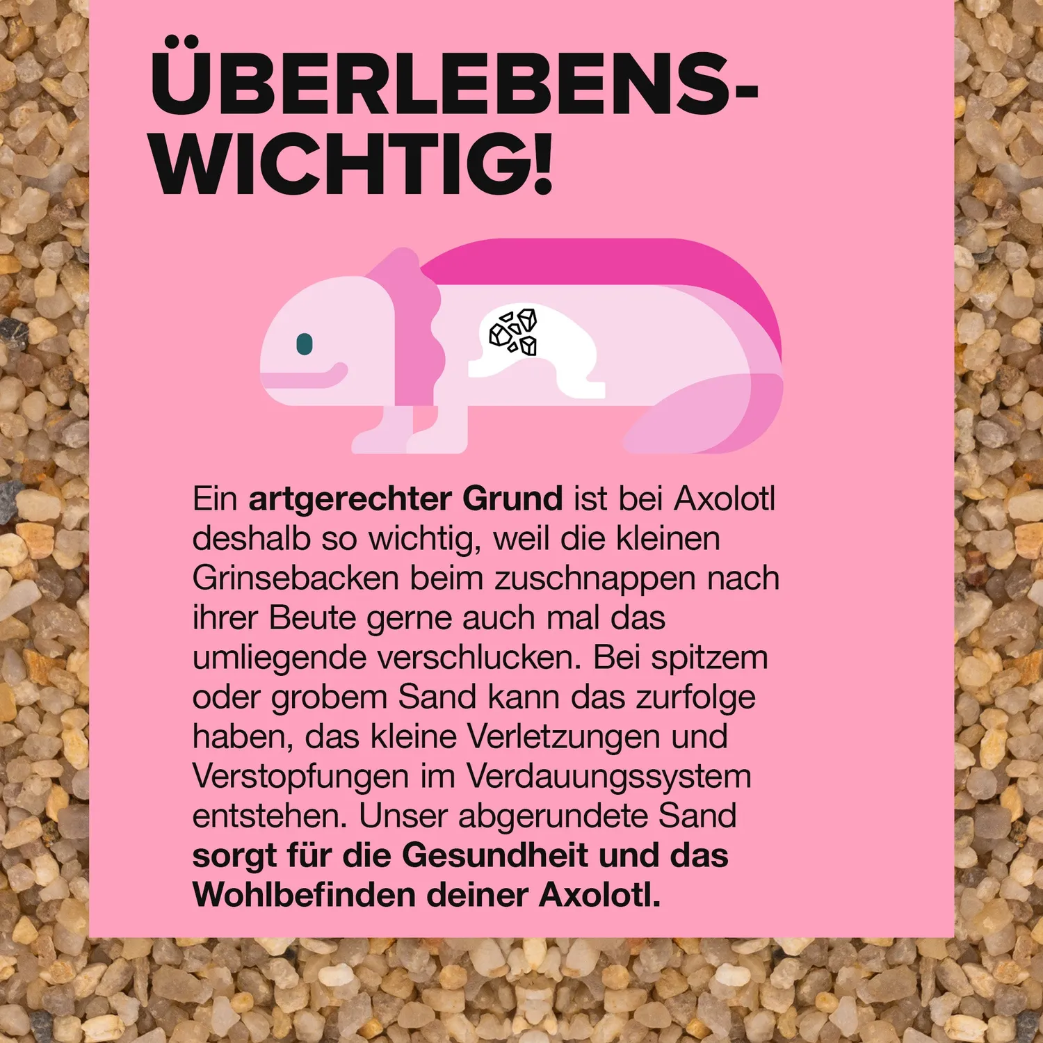 NatureHolic Axolotl Sand Natursand 10 kg 0,4-0,8 mm abgerundet