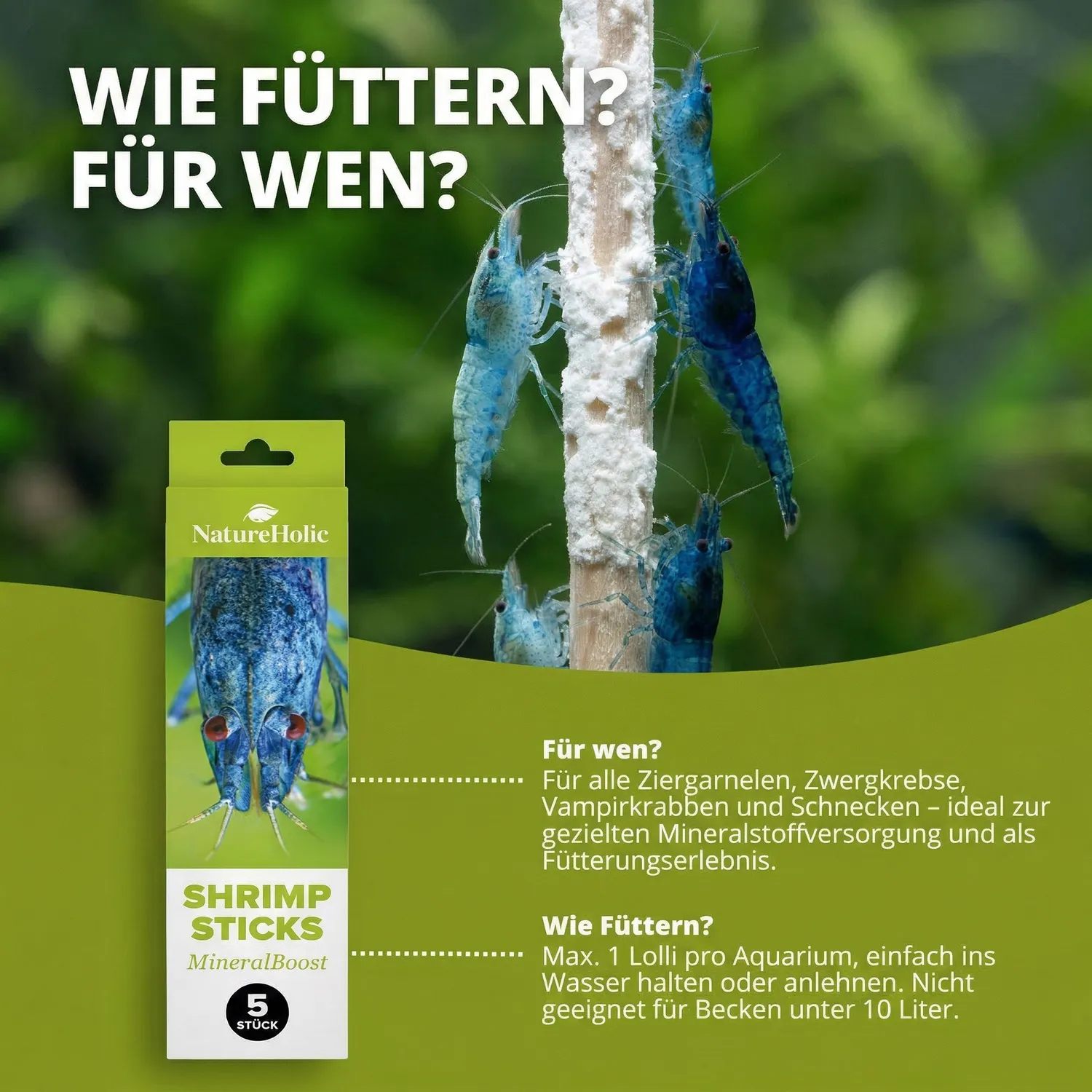 NatureHolic Garnelen Lollies MineralBoost Garnelenfutter 5 Stück