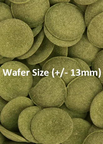 Ocean Nutrition Grazing Wafers Bodentabletten Spirulina