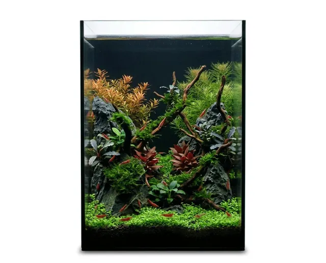 NatureHolic Black Wall Nano-Aquarium 12L schwarzes Glas