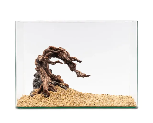 NatureHolic Ready to Scape Dragon Root Aquariendeko Baum 30 cm