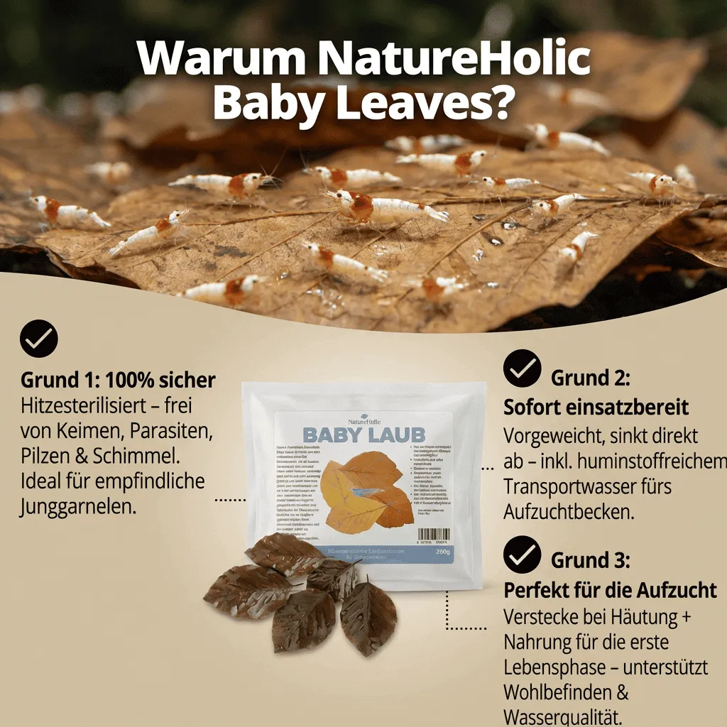NatureHolic Baby Leaves Garnelenlaub steril 100 g