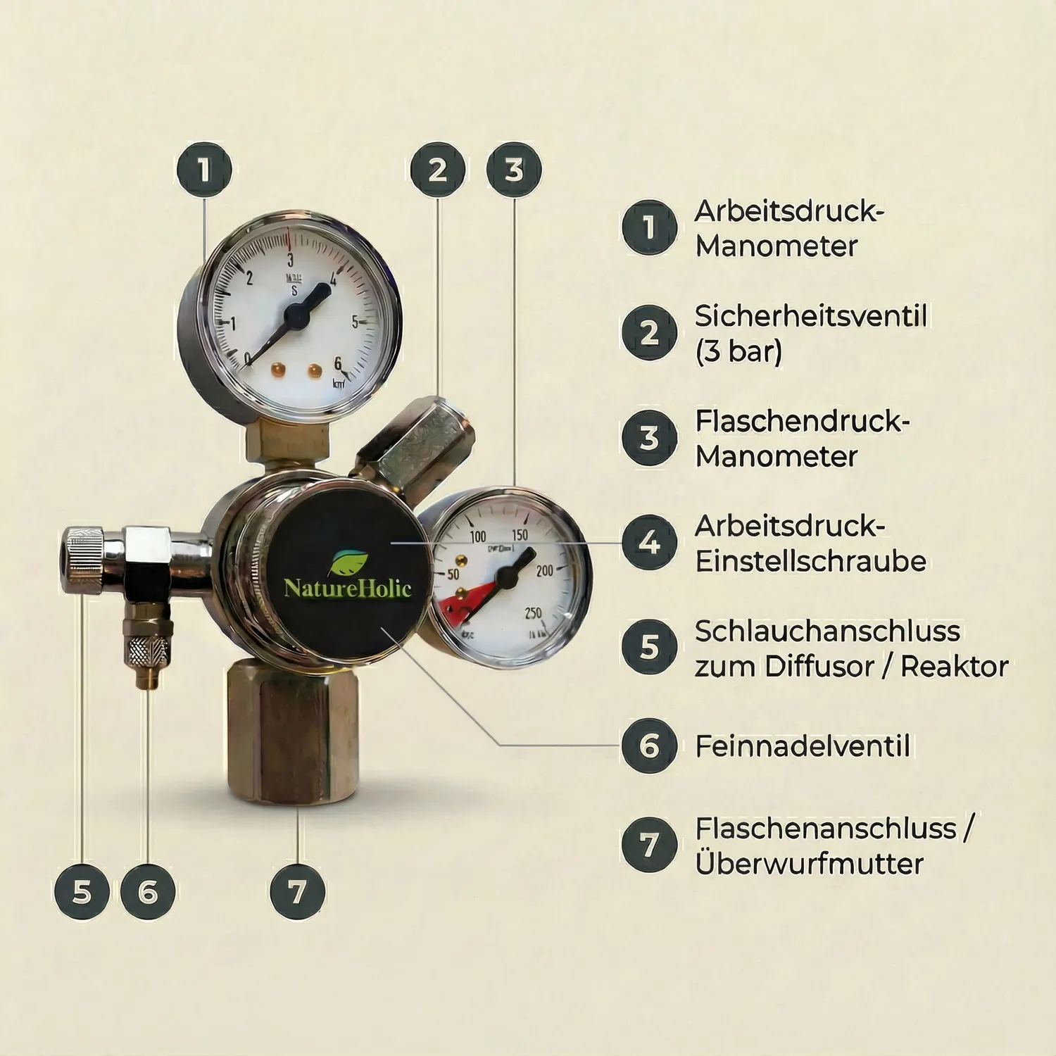 NatureHolic Sodastream CO2 Druckminderer Aquarien Düngung