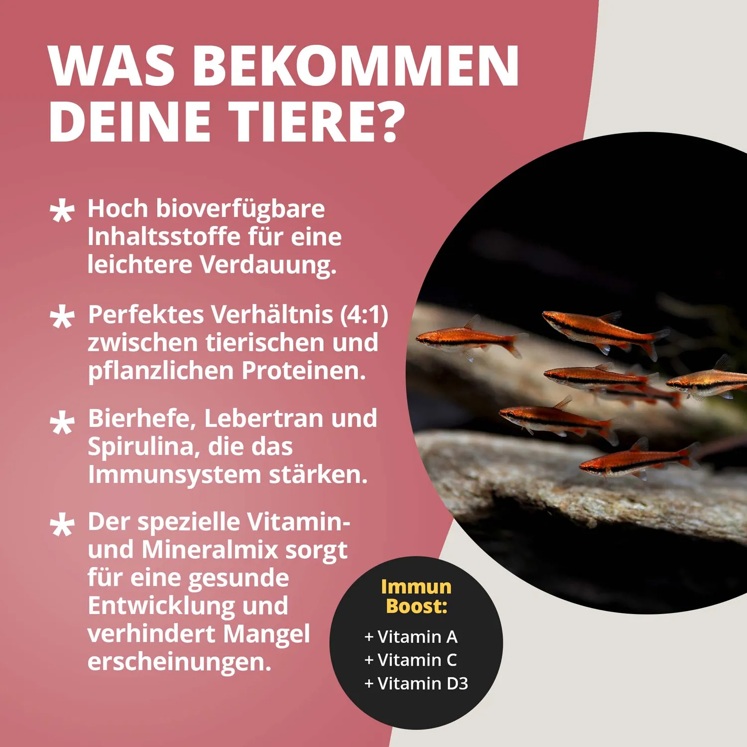 NatureHolic SalmlerFeed Fischfutter 30 g Granulat mit Spirulina