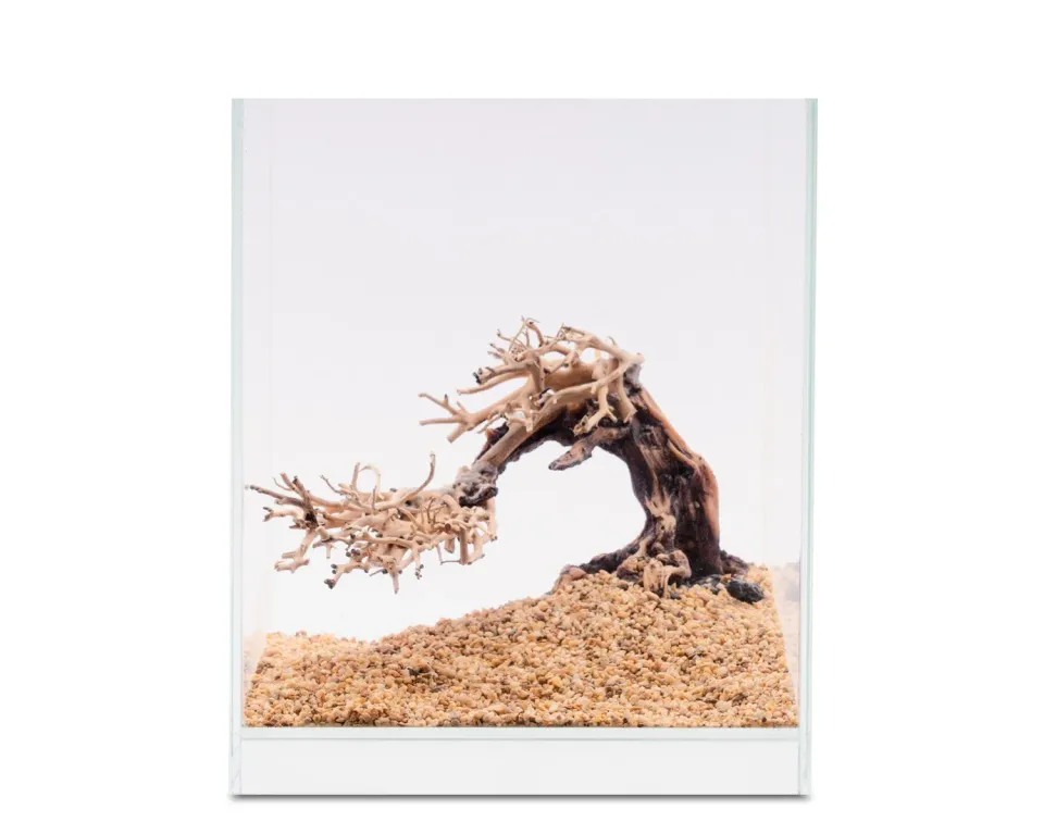 NatureHolic Ready to Scape Groot Root Aquariumwurzel 26 cm