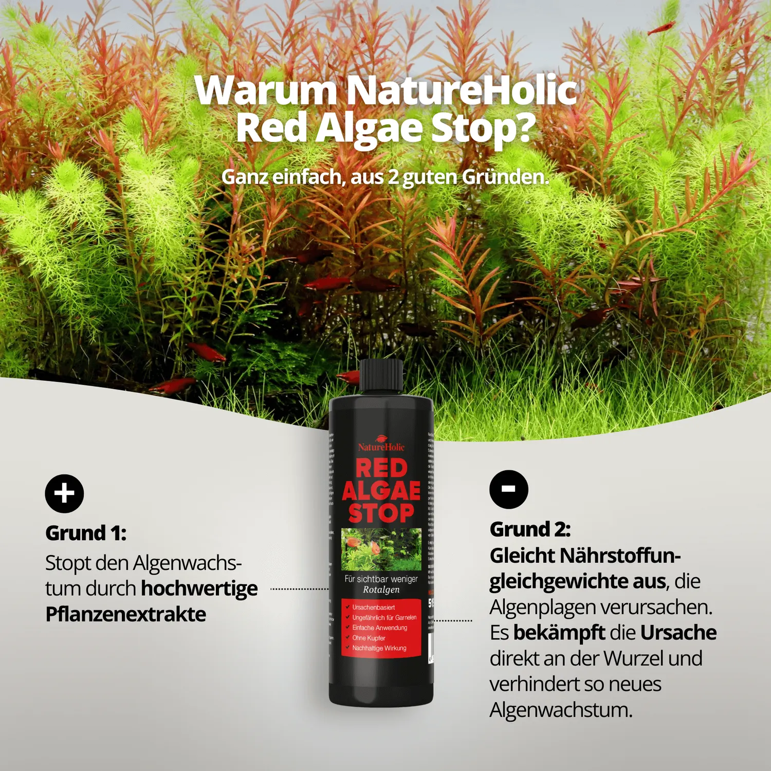 NatureHolic Red Algae Stop Rotalgen Entferner 250ml Bartalgen