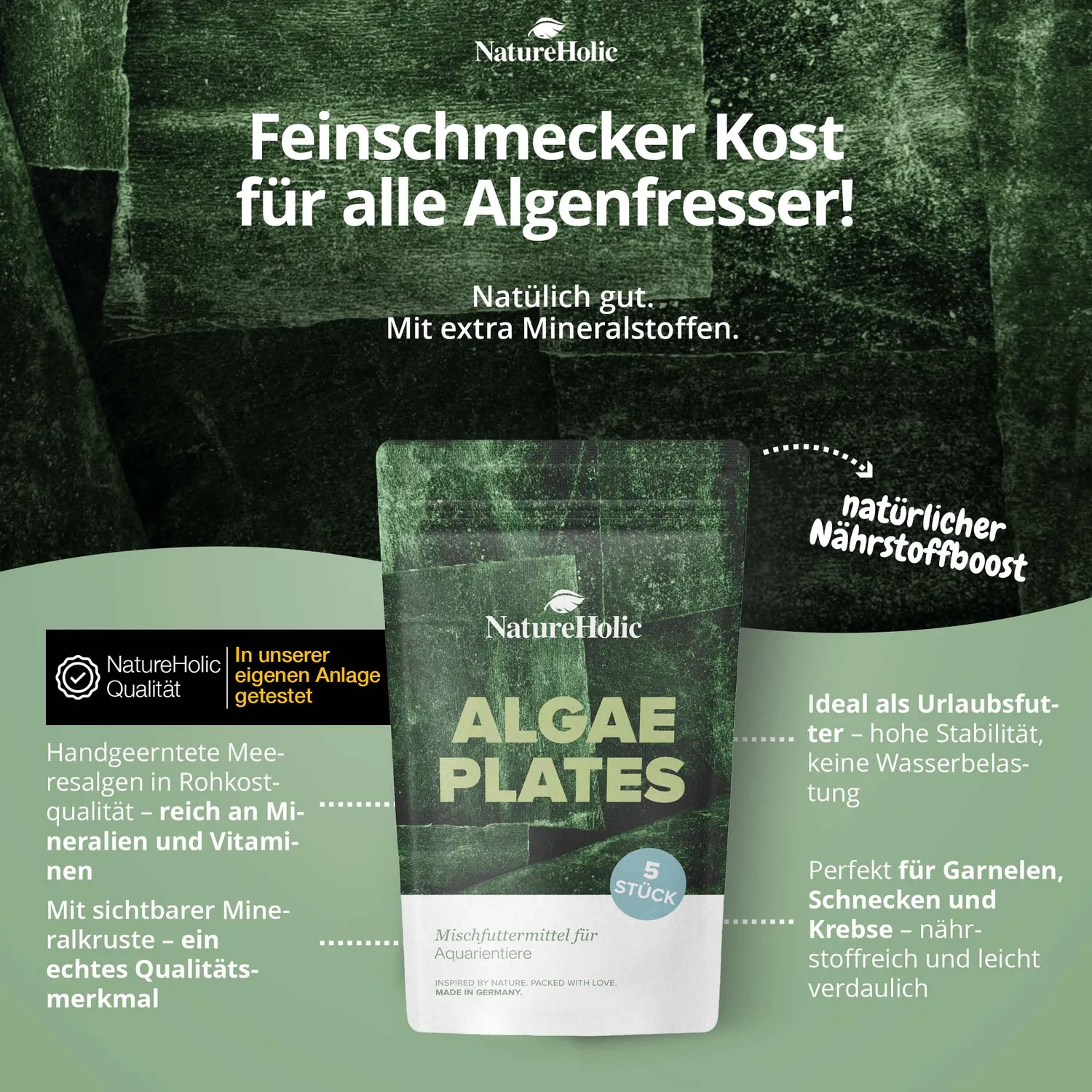 NatureHolic AlgaePlate Algenplatten Aufwuchsfutter 5 Stk