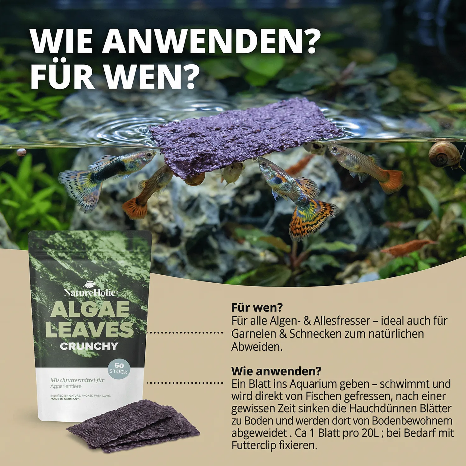 NatureHolic AlgaeLeaves Algenblätter 50 Stück Jod