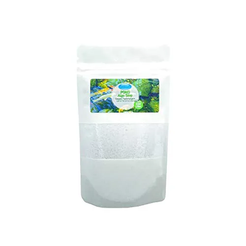 AQUARIS Pond Algo Stop Fadenalgenvernichter 250 g chemiefrei