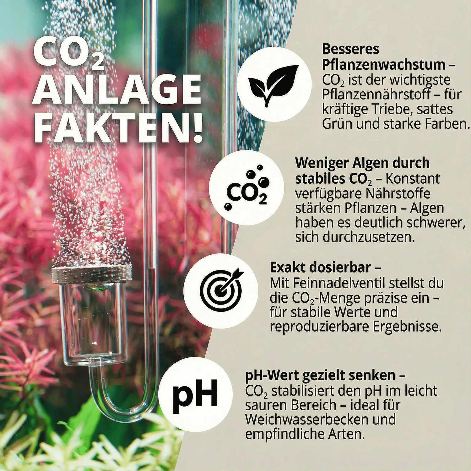 NatureHolic CO2 Anlage Komplett Set SodaStream