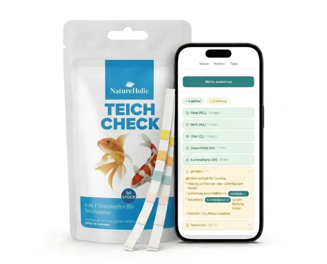 NatureHolic Teich Check 6-in-1 Wassertest Teststreifen Gartenteich