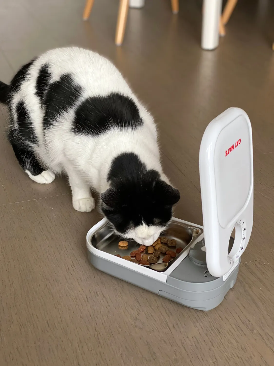 Closer Pets Cat Mate 402 Futternapf Edelstahl 2er-Set