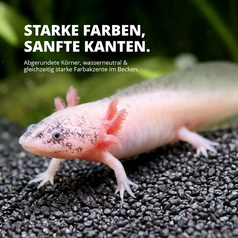 NatureHolic Black Axolotl Ground Bodengrund 10kg 2-3mm