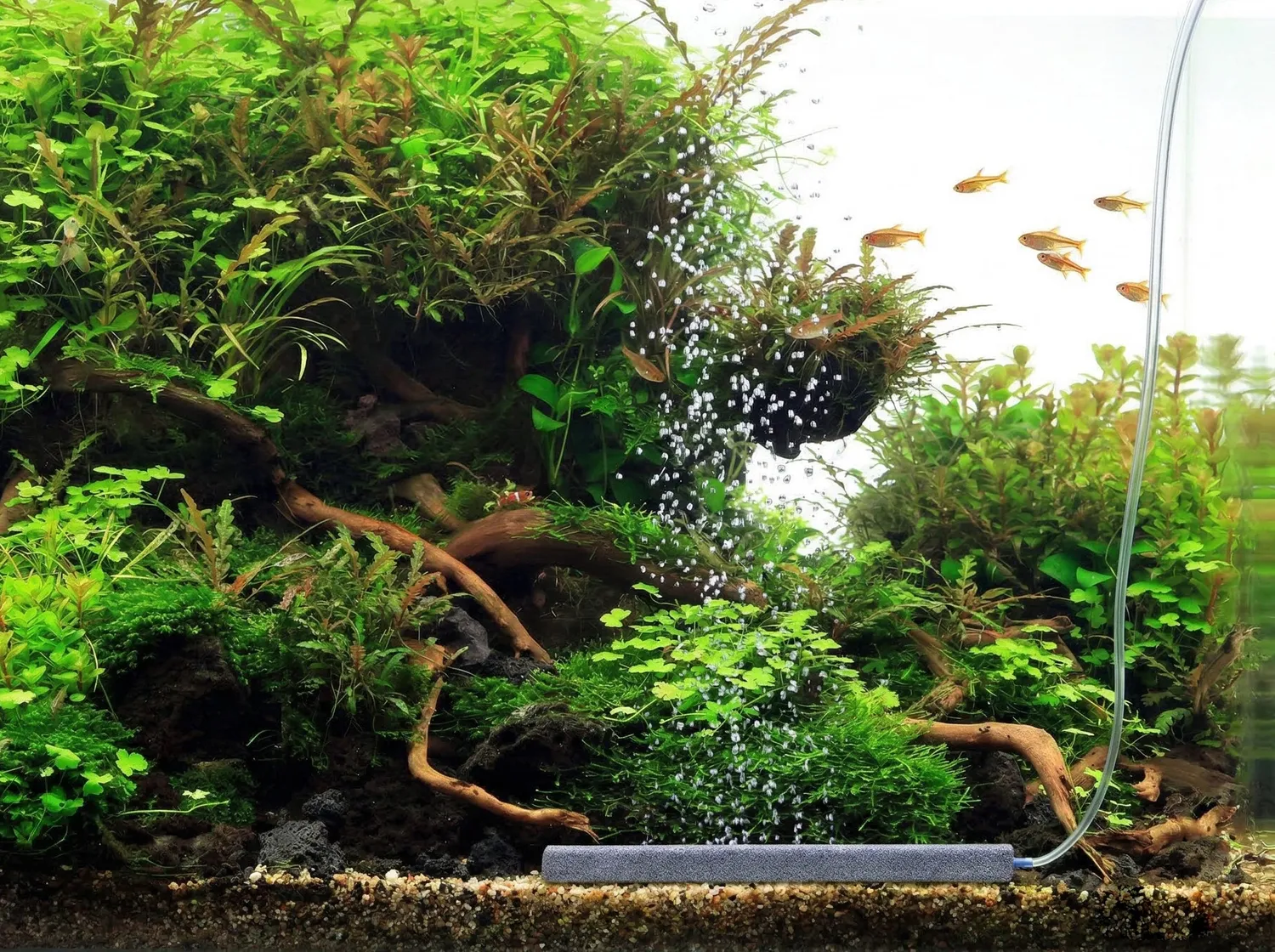 NatureHolic Bubble Bar Ausströmerstein 300mm Aquarium
