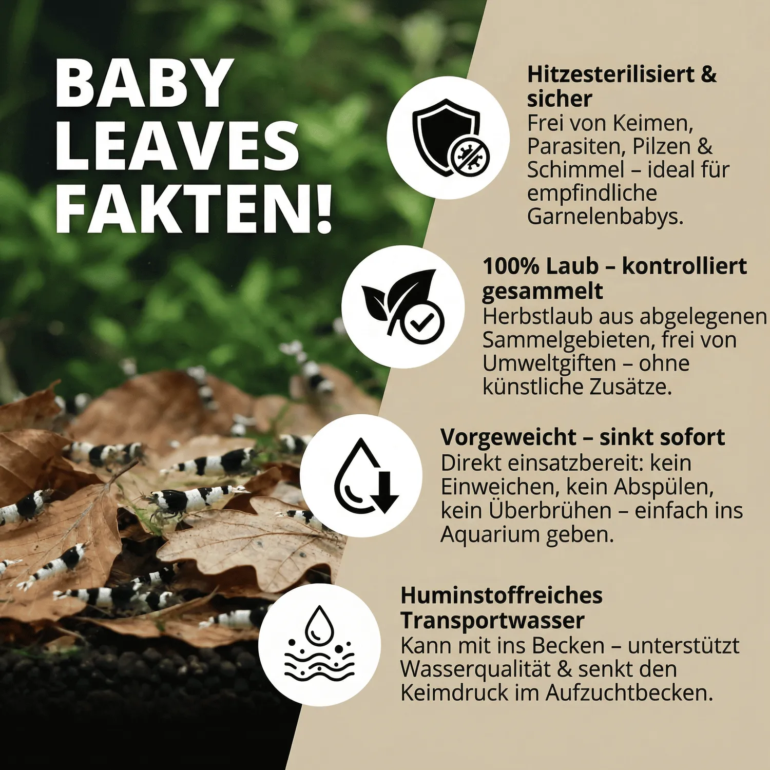 NatureHolic Baby Leaves Garnelenlaub steril 100 g