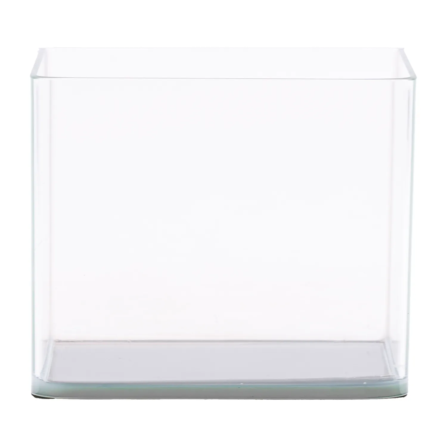 NatureHolic Curved Garden Tank Pico Aquarium 12 Liter