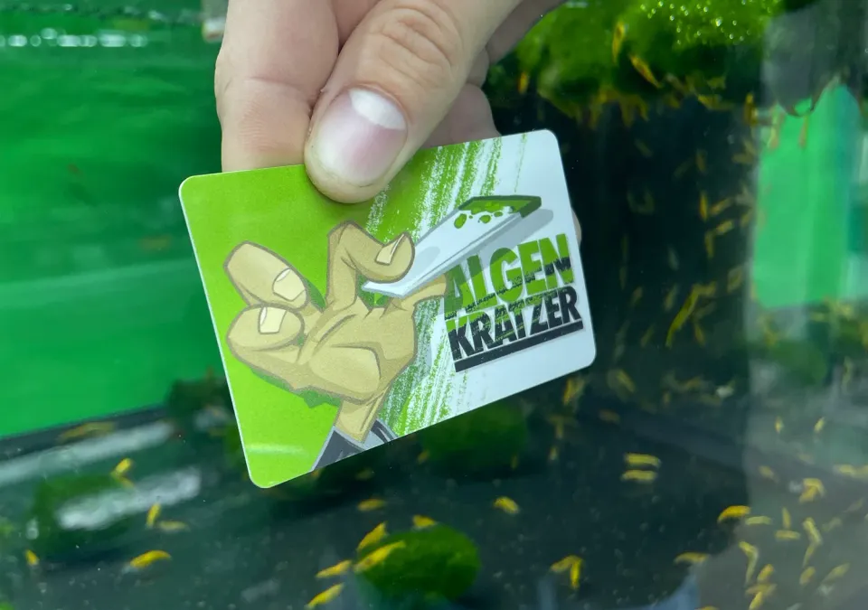 NatureHolic Algenkratzer Kunststoff kratzfrei